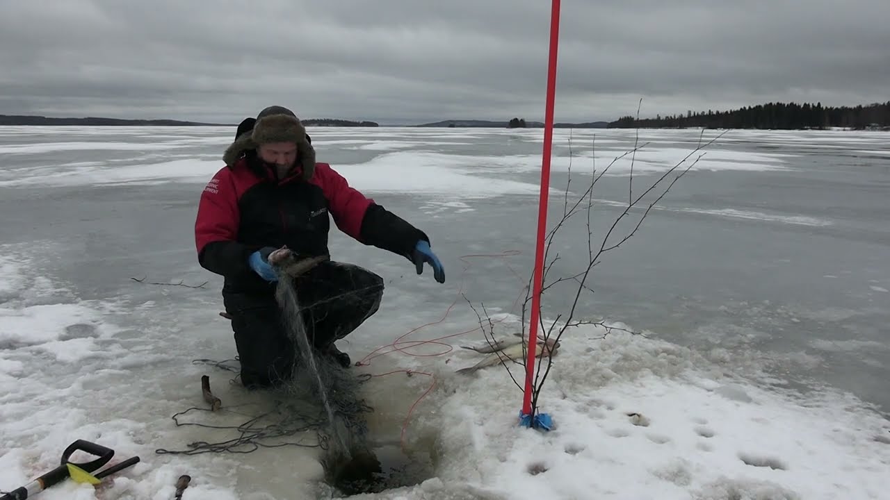 Fishing trip on a frozen lake