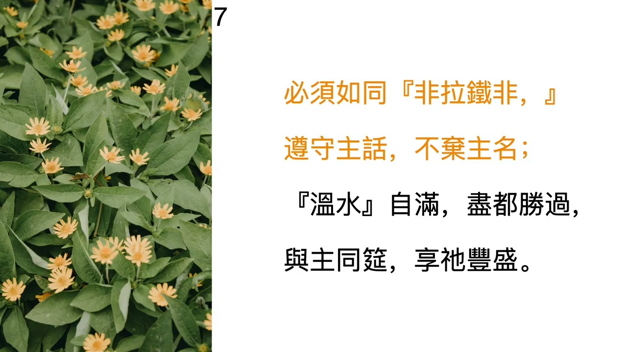大本詩歌第596首 教會乃是精金燈臺