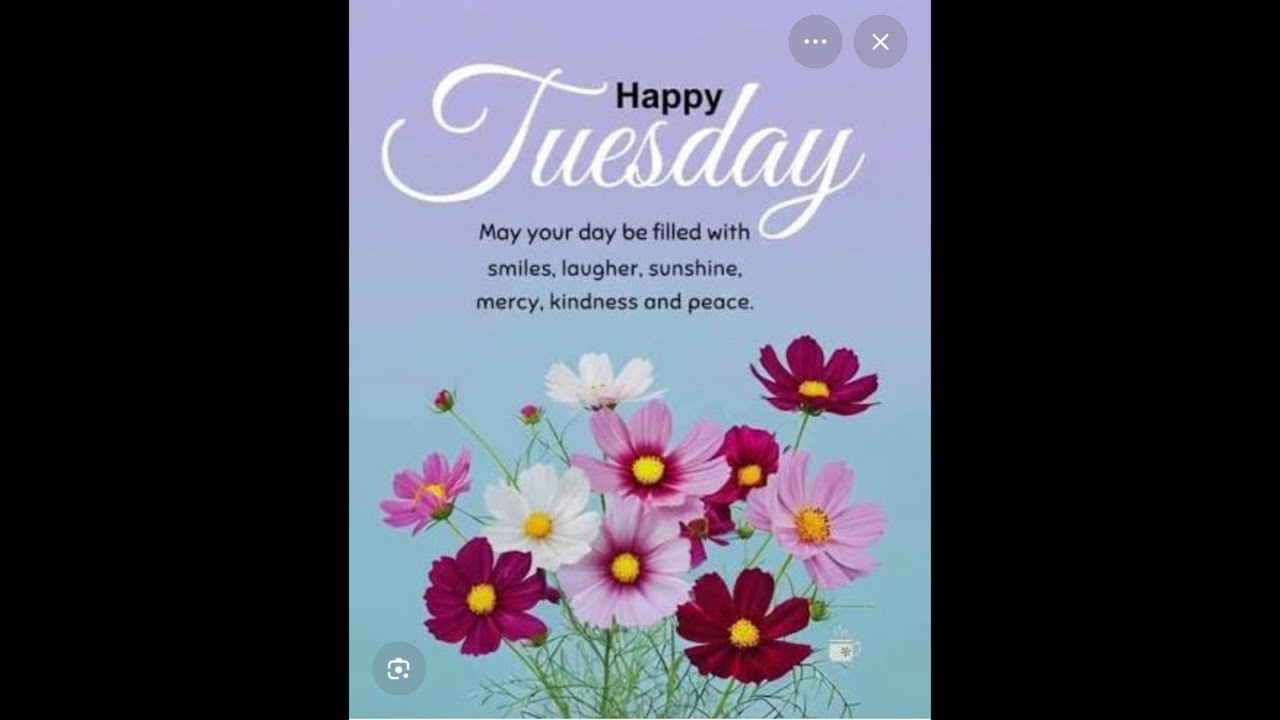 Shaniece R is live! Good Tuesday morning