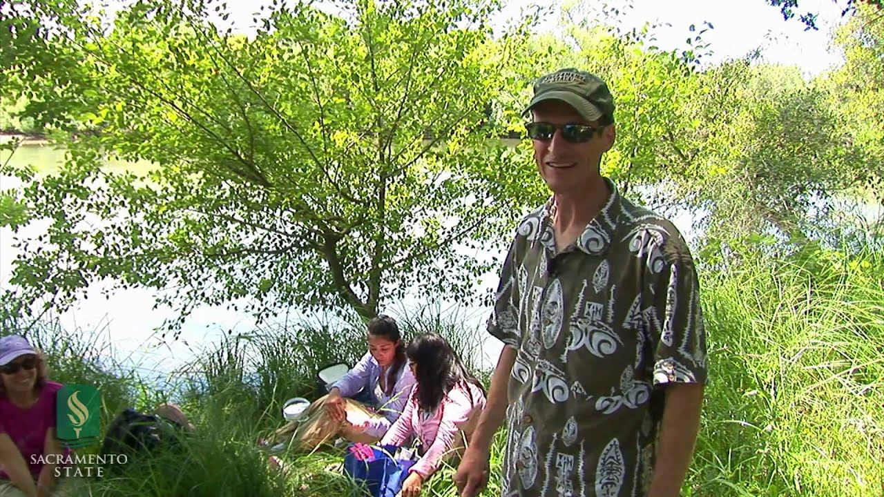 Summer Science Program