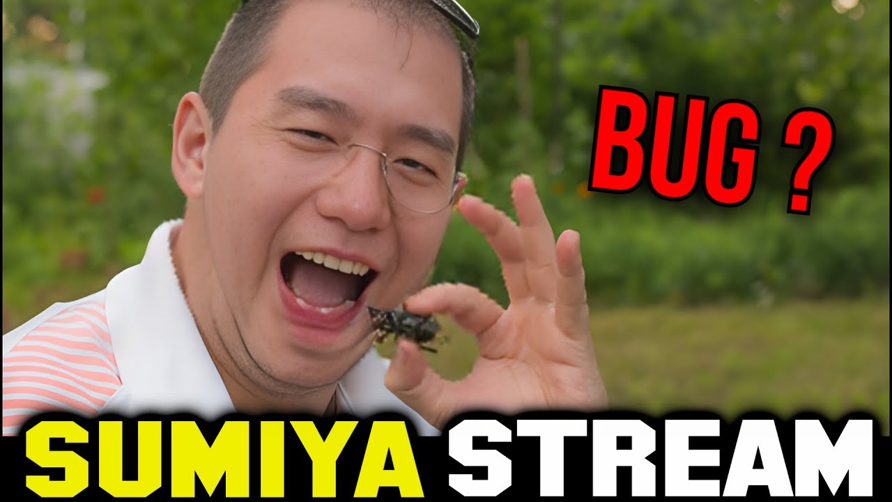 Issit a Bug? | Sumiya Stream Moments 4880