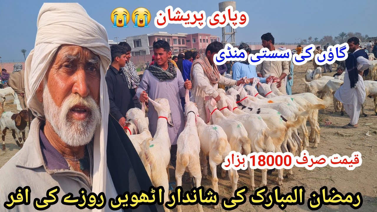 26 February 2026رمضان المبارک کی شاندار اٹھویں روزے کی افر  وپاری پریشان  علی گوٹ فارم 