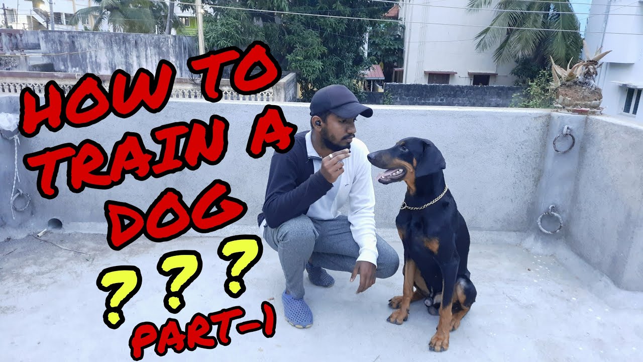 How To Train a Dog ??? | TAMIL | RAGUL RAM