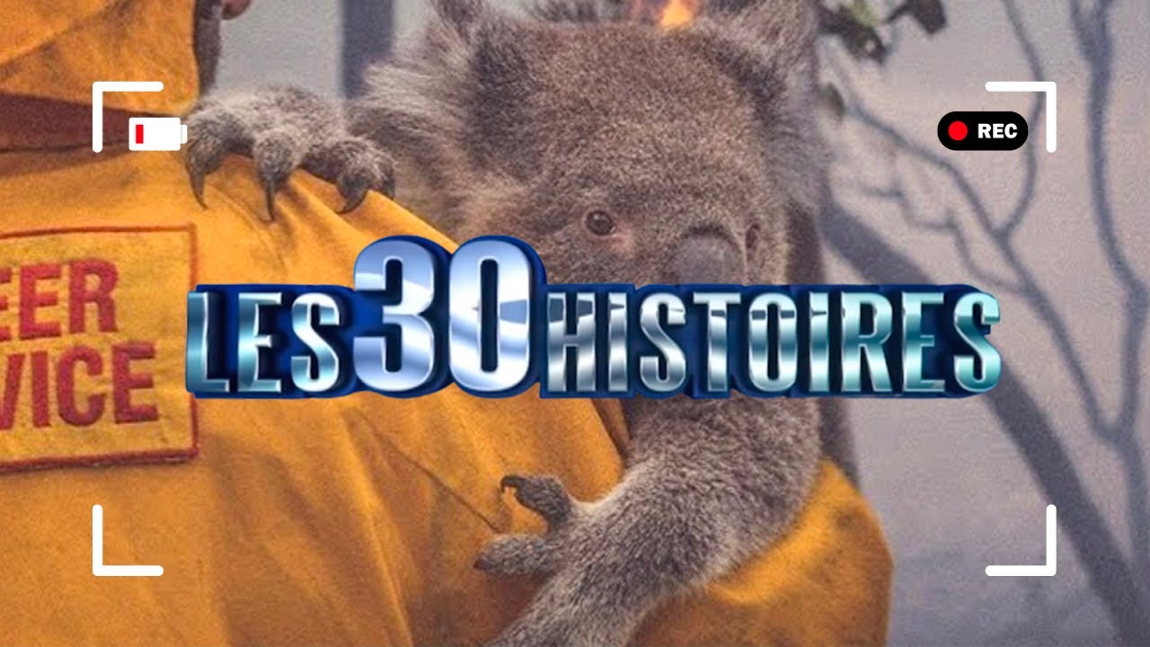 Les 30 histoires les plus folles mais vraies ! | Emission sp&eacute;ciale HD | P062013