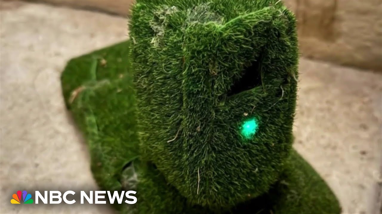 Police warn of small cameras camouflaged in yards across the country