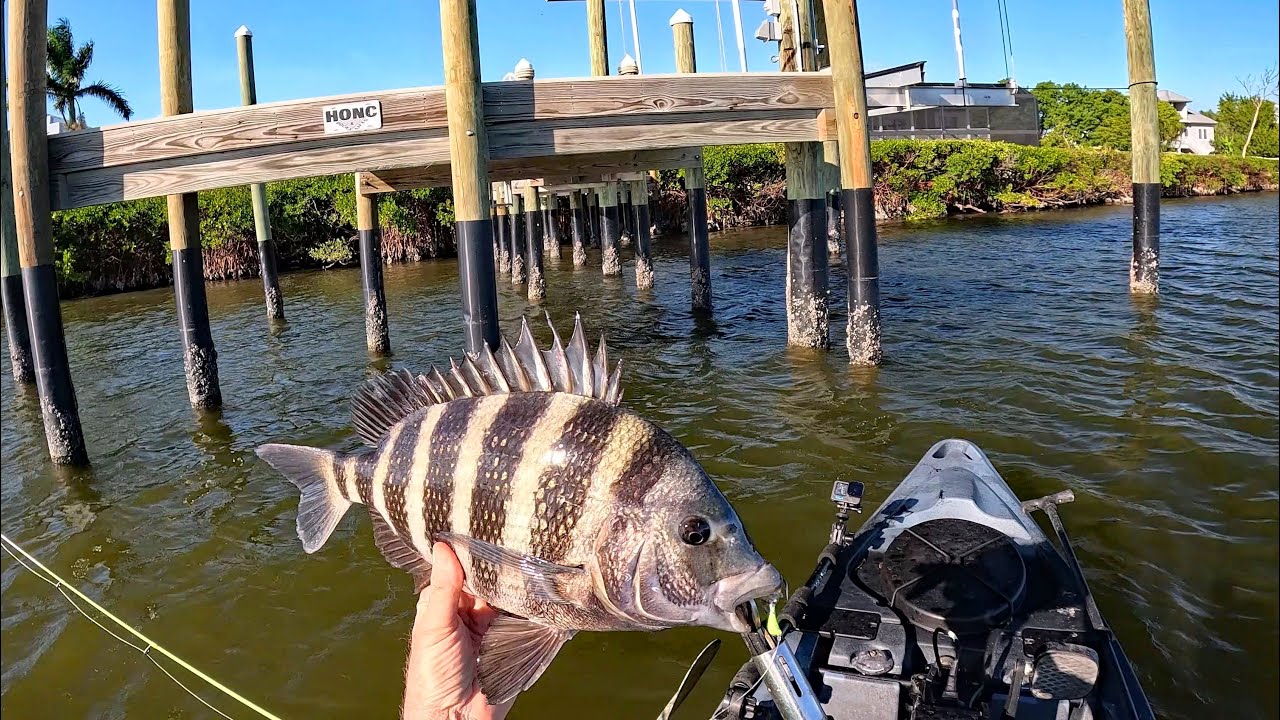 Fishing for Whatever Bites in Relatively Warm Paradise!