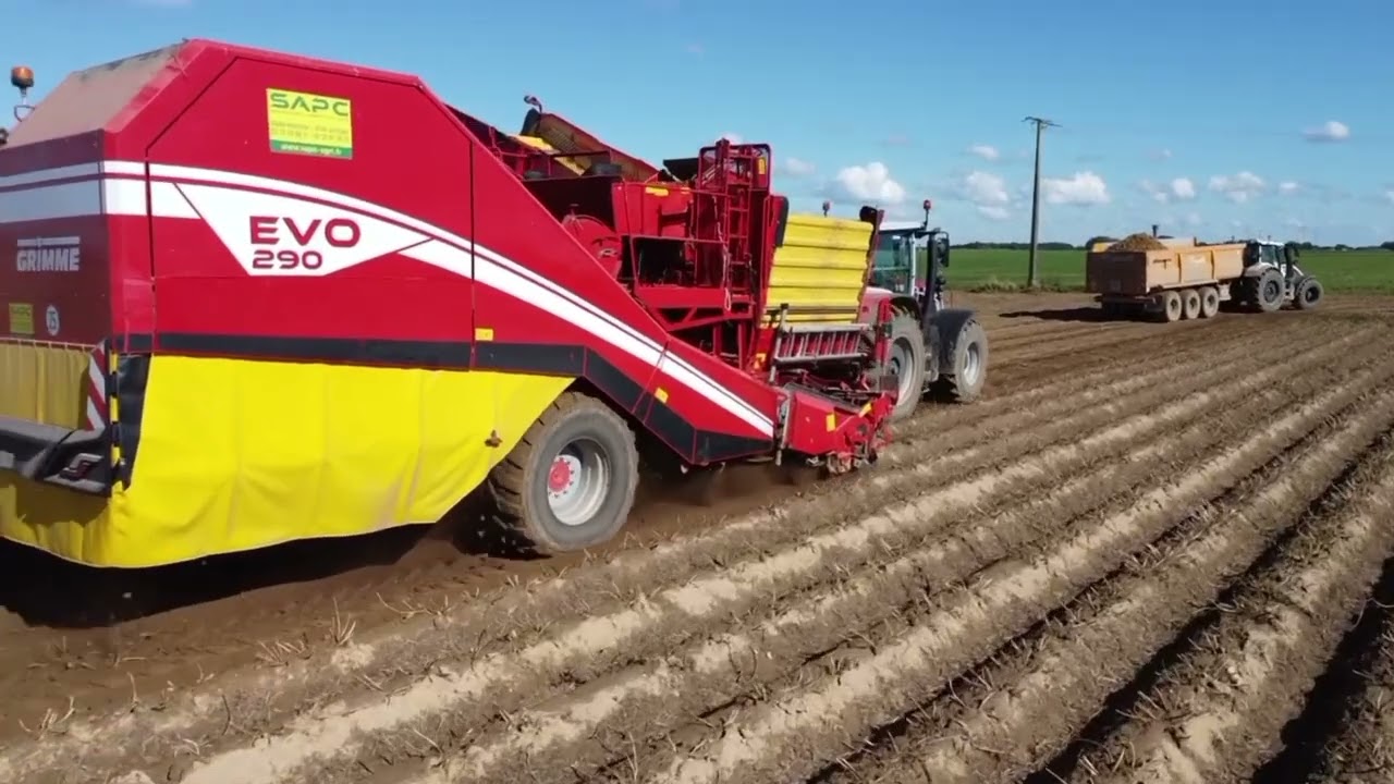 Arrachage de pommes de terre 2024