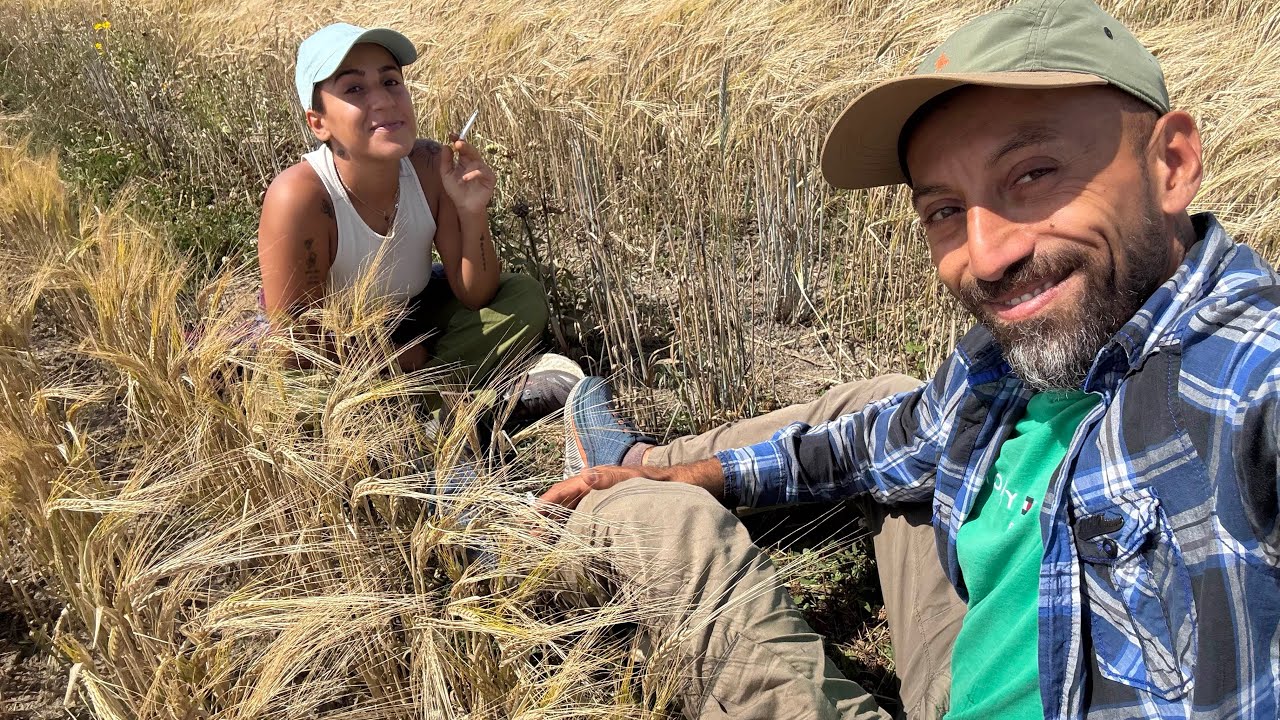 تجربة التطوع الأولى في أقصى جنوب هولندا @WWOOF-FoWO 