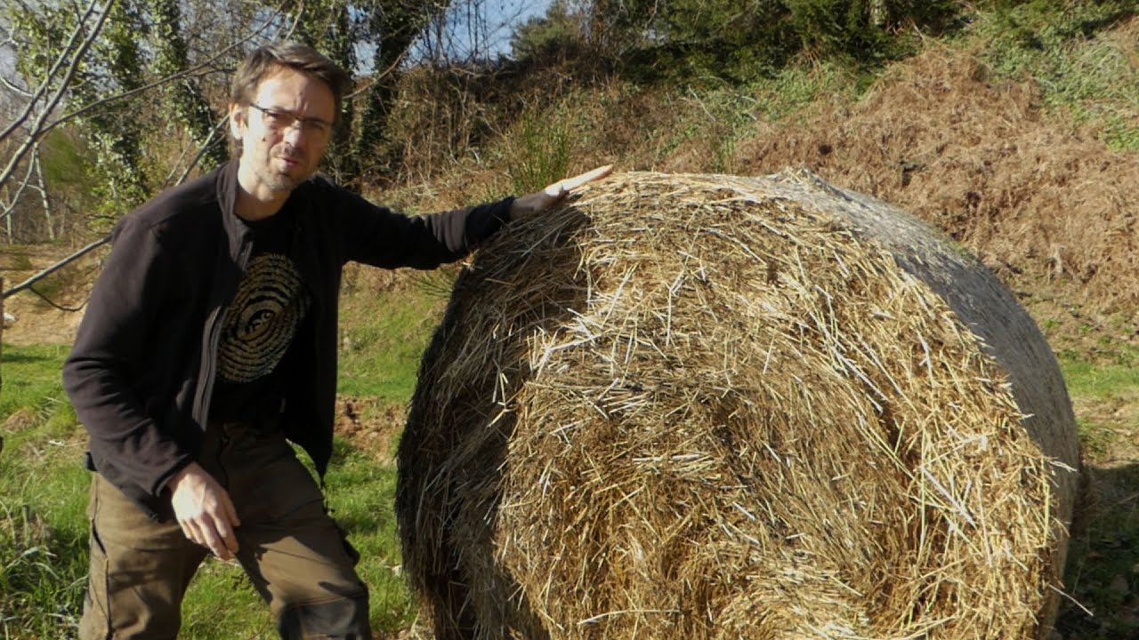 Mes conseils pratiques pour bien pailler votre potager
