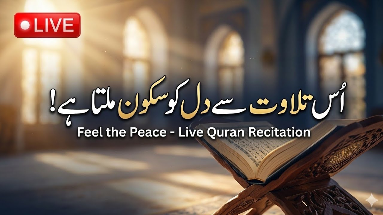 Aisi Tilawat Se Dil Ko Sukoon Milta Hai / Live Quran Recitation Feel The Peace Quran Tilawat Live