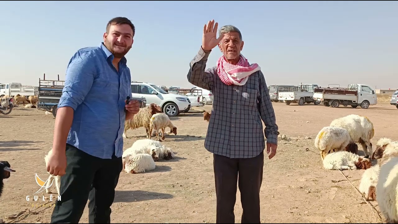سوق #الأغنام في #عامودا صباح اليوم.. إقبال على شراء الأضاحي بمناسبة قدوم #عيد_الأضحى المبارك.