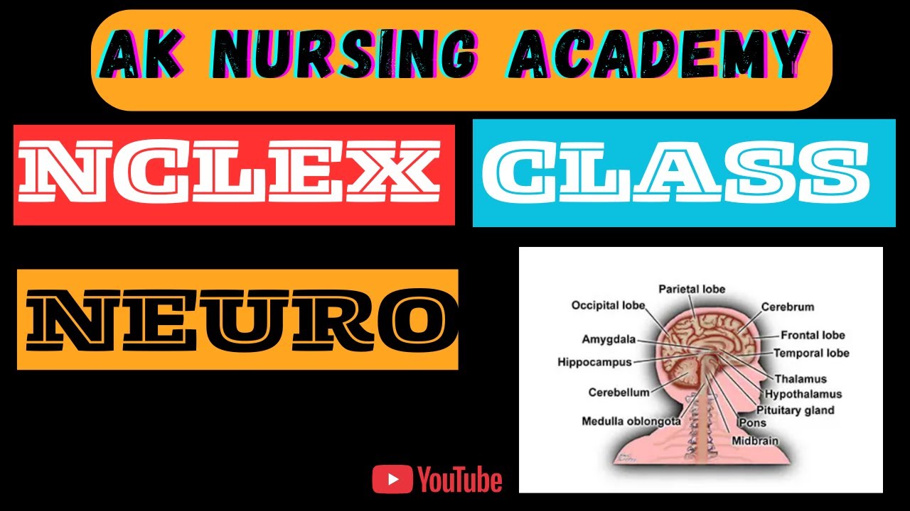 Nclex Nervous System Explained Simply | Neuro System for Nurses DHA  AK NURSING ACADEMY 30 01 2026