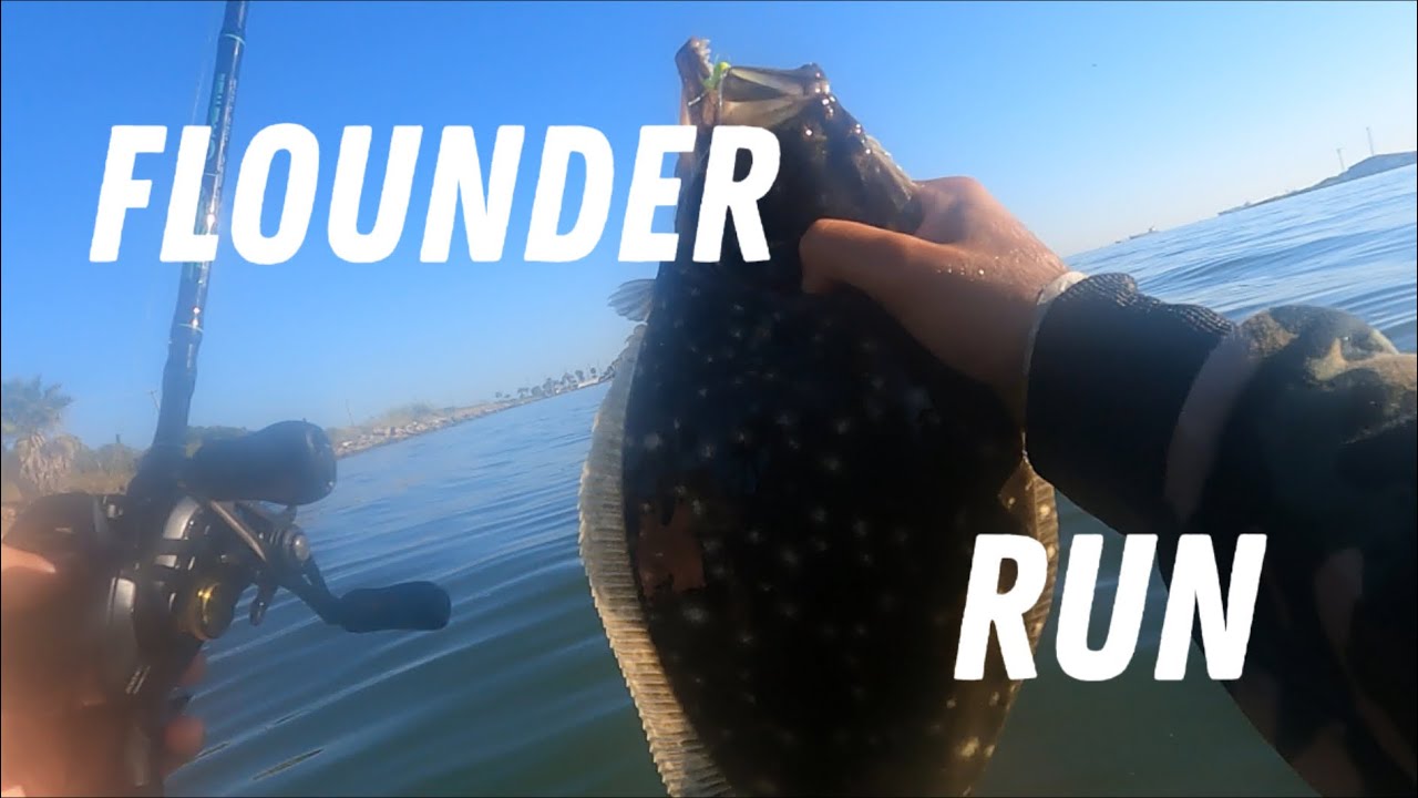 Early Flounder Run Fishing(Seawolf Park)
