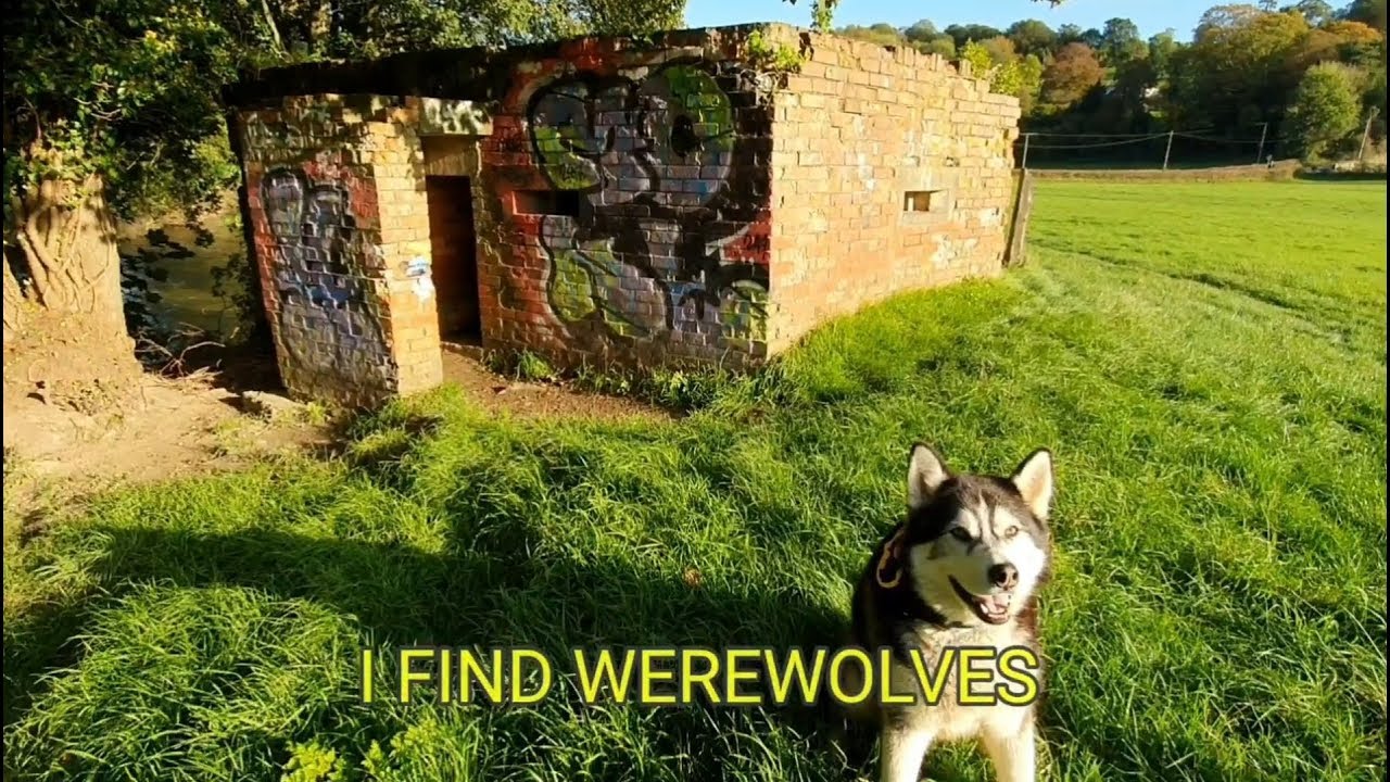 Batdog vs Scary Werewolves | Will the Superhero win?
