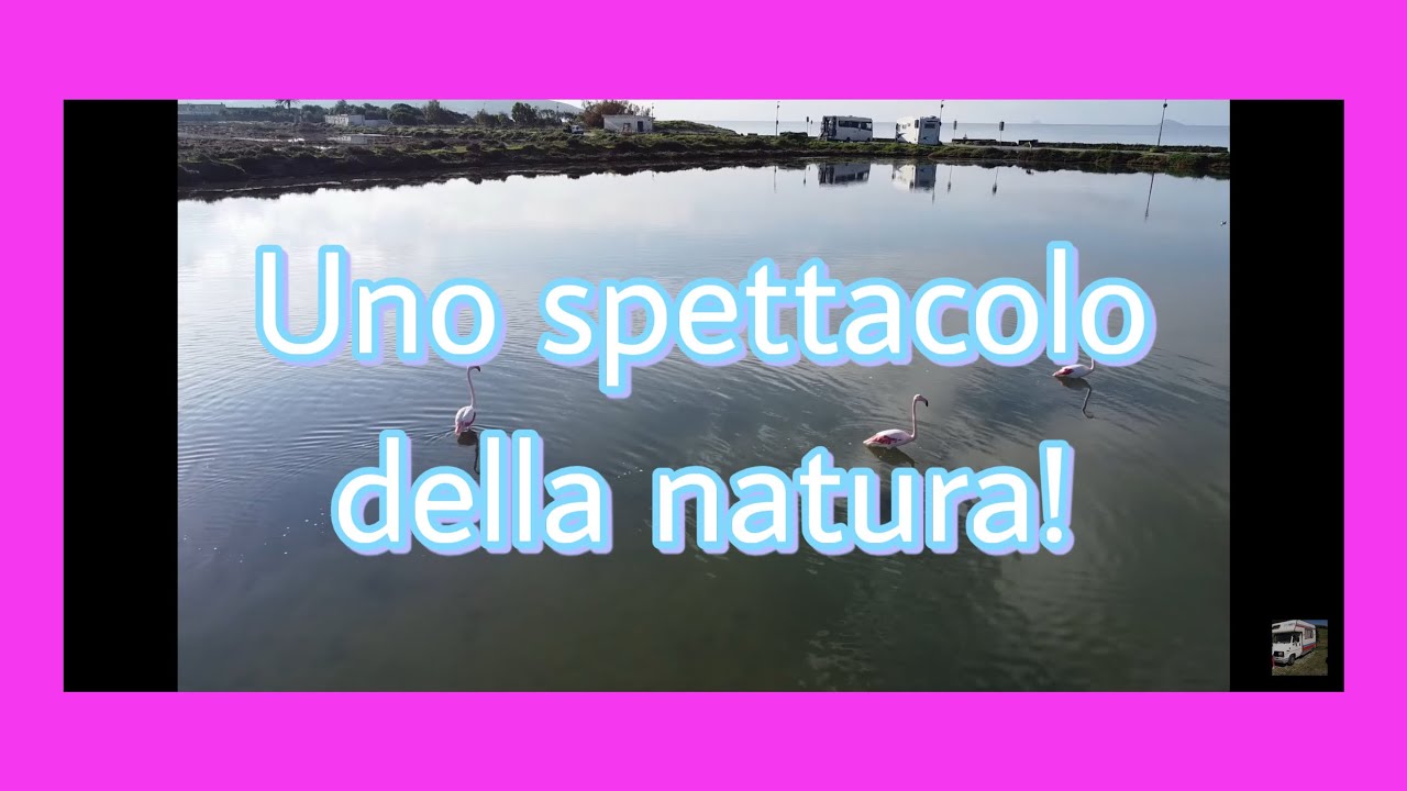 cap.5 tra fenicotteri, mare e funghi la sardegna d 'inverno
