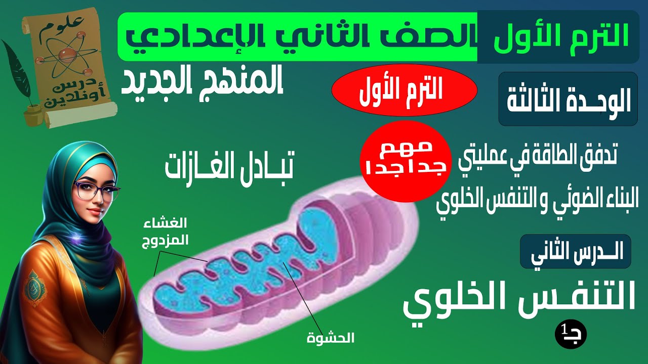 C2-علوم الصف الثاني الاعدادي المنهج الجديد الترم الأول الوحدة الثالثة الدرس الاول ج1 (التنفس الخلوي)