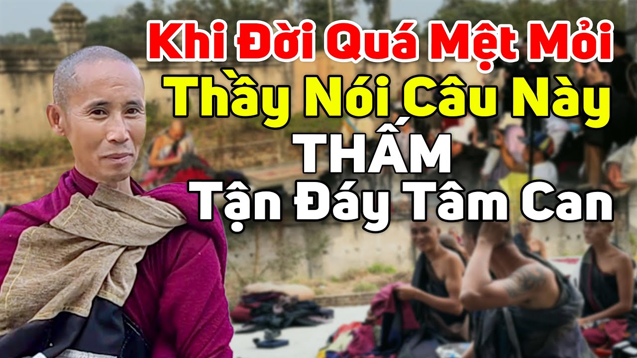 Khi Cuộc Đời Quá Mệt Thầy Minh Tuệ nói một câu - Thấm Tận Đáy Tâm Can | Phật Pháp Media