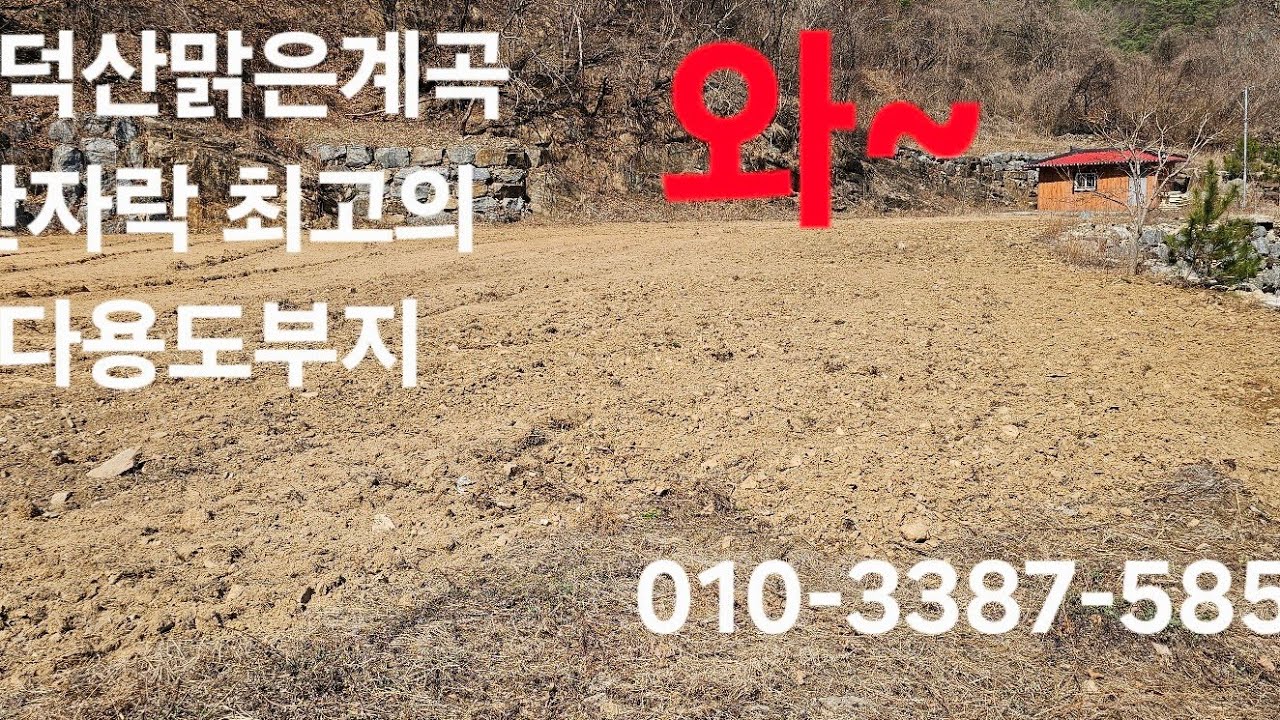 백덕산계곡물 산자락 청정지역 남향 무엇이든지 할수있는 최고의다용도부지 초강추 010-3387-5855 매번50401