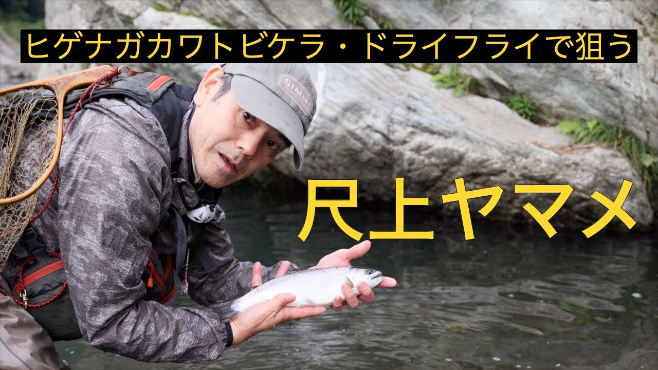 【Fly Fishing】宮崎のFフライフィッシング #2   五ケ瀬川ヤマメ : ヒゲナガカワトビケラ・ドライフライ攻略