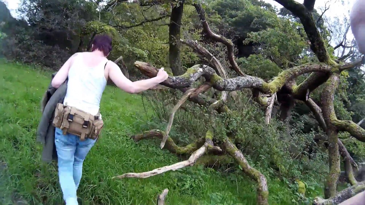 Brock Bottoms Picnic Site, Brock Valley, Claughton, Lancashire, Walks.