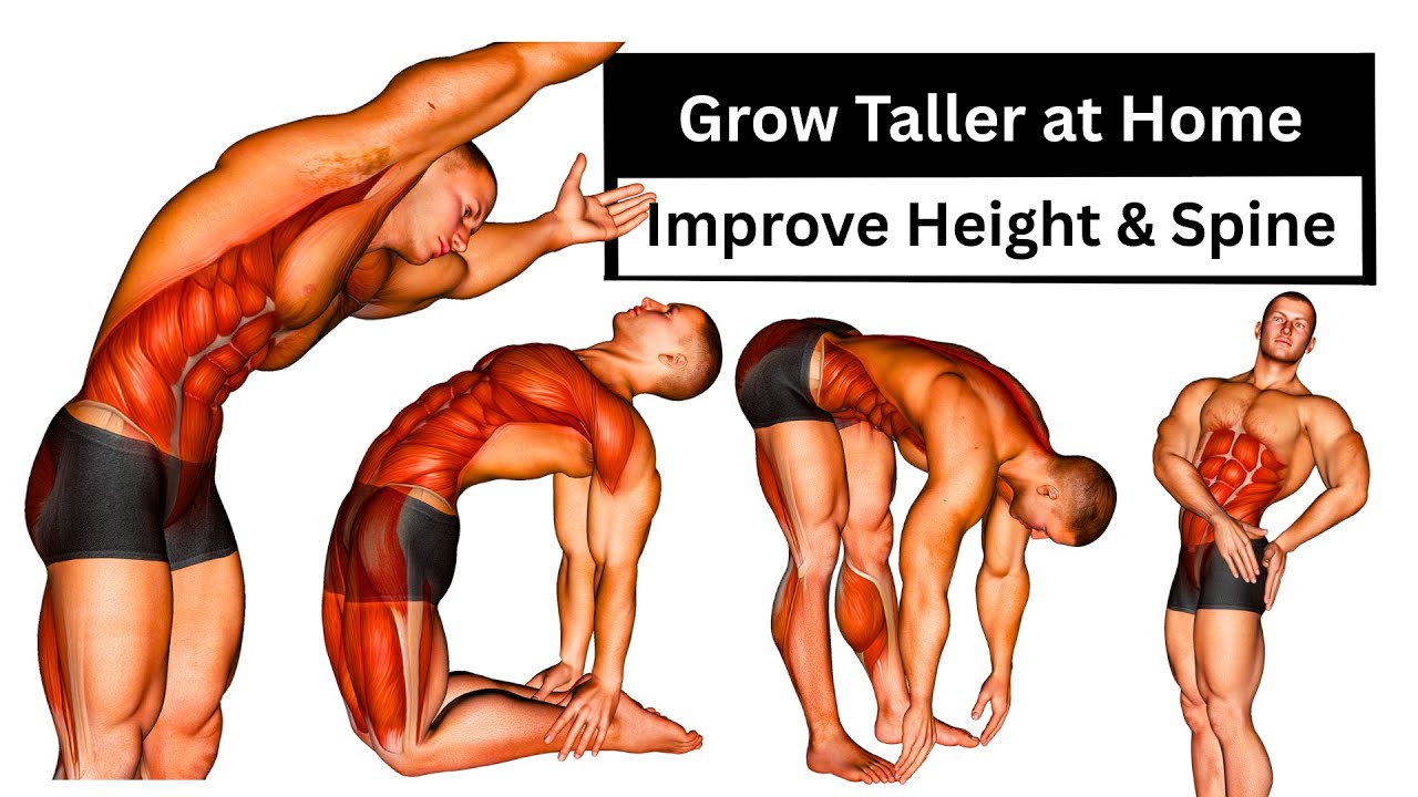 Grow Taller at Home Naturally | 15 Daily Stretches to Improve Height & Spine