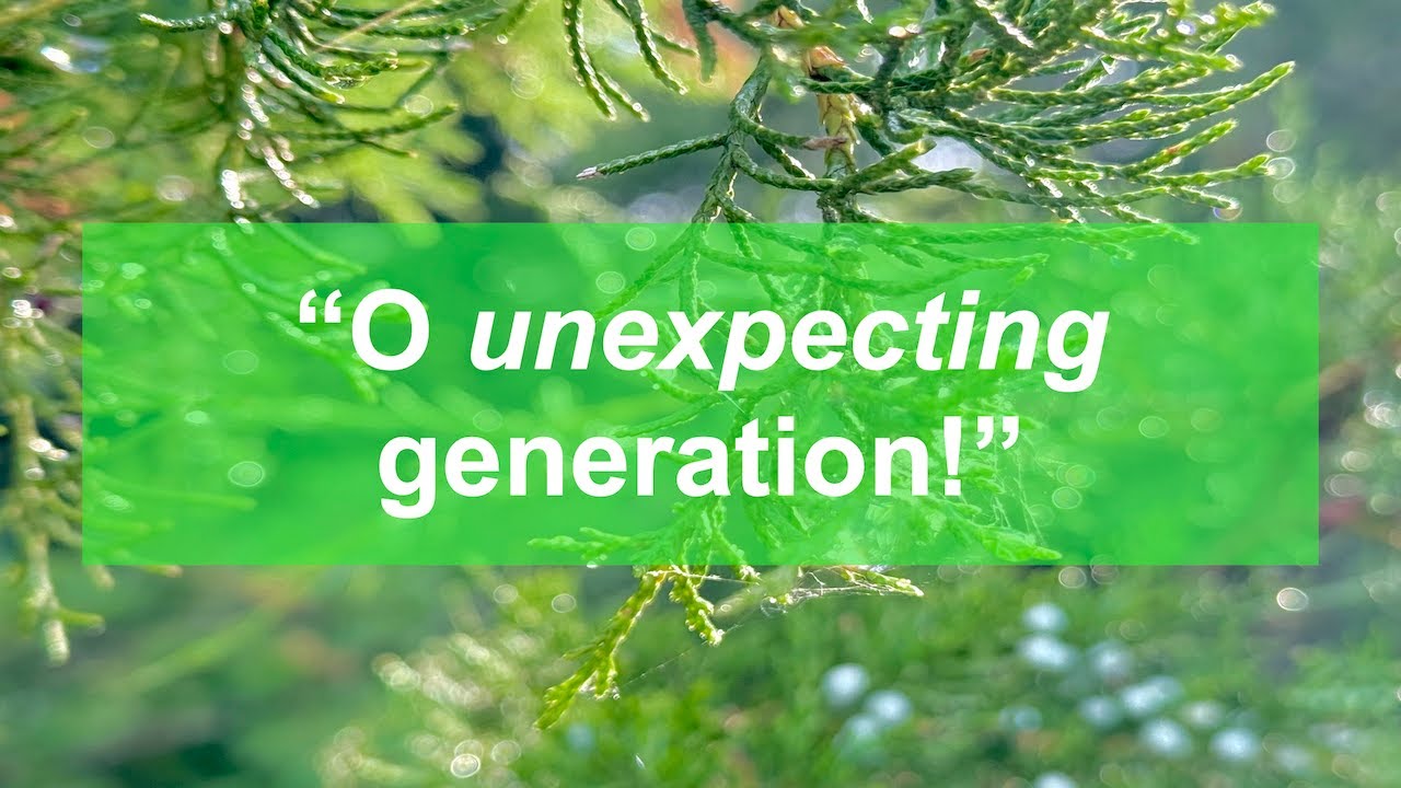 Prayer changes my expectation