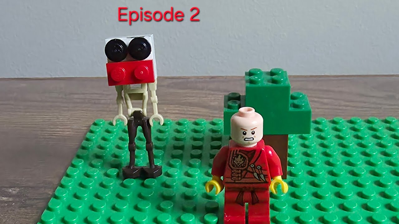Panda attacked me! Episode 2 Lego zoochosis 