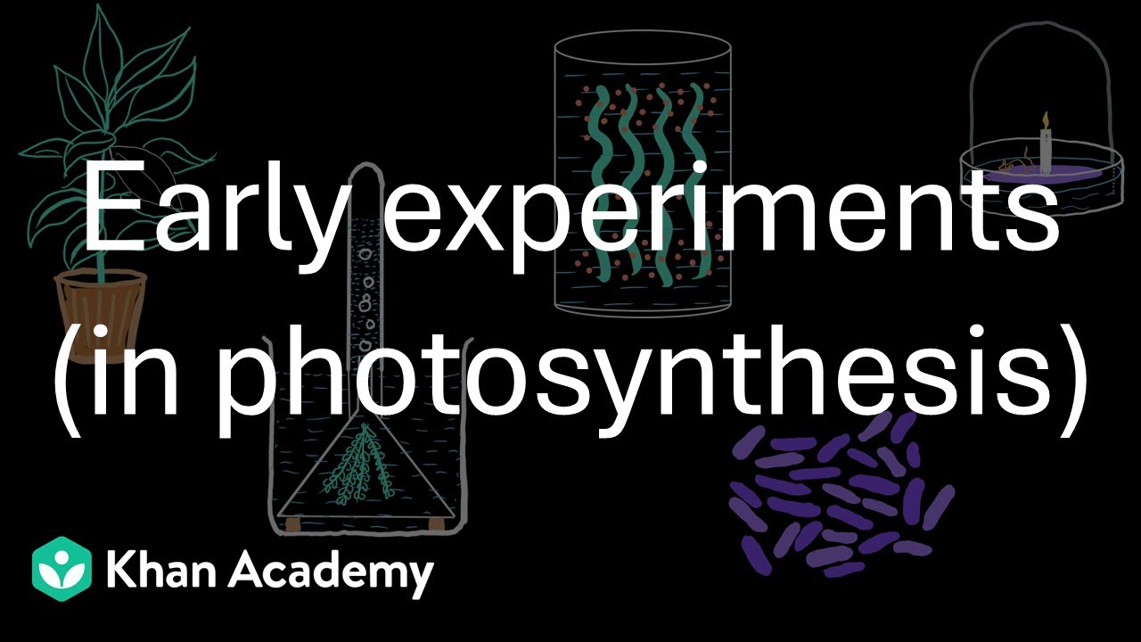 Ранние эксперименты по фотосинтезу | Фотосинтез | 11 класс | Биология | Академия Хана