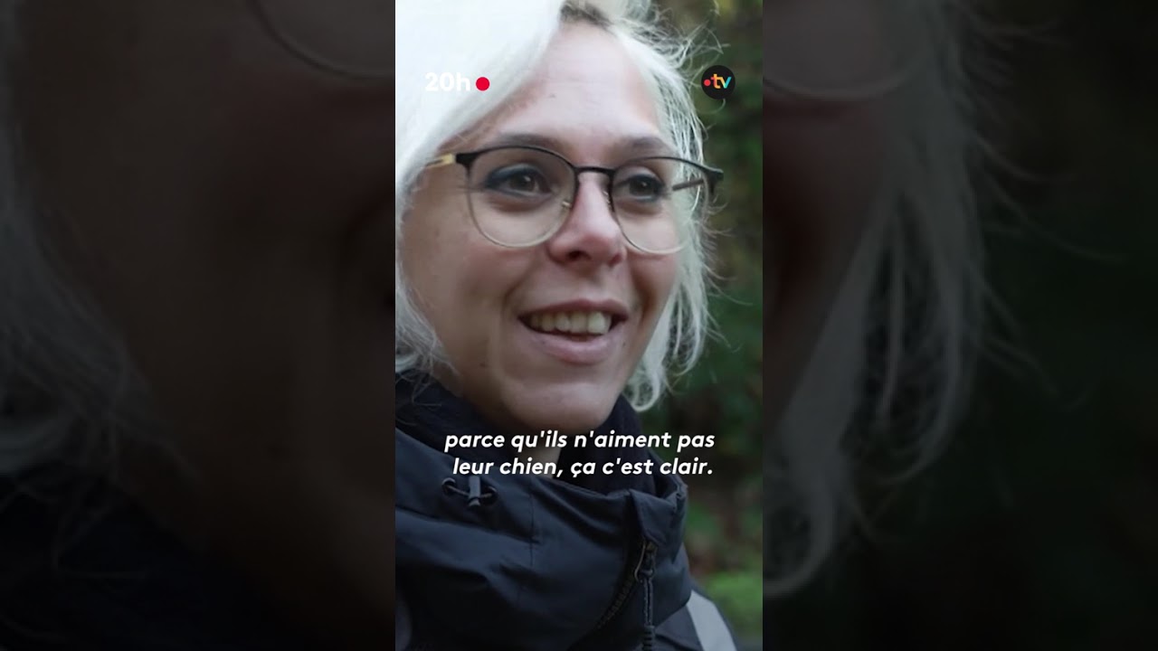 Maltraitance animale : ces vigiles qui affament leurs chiens