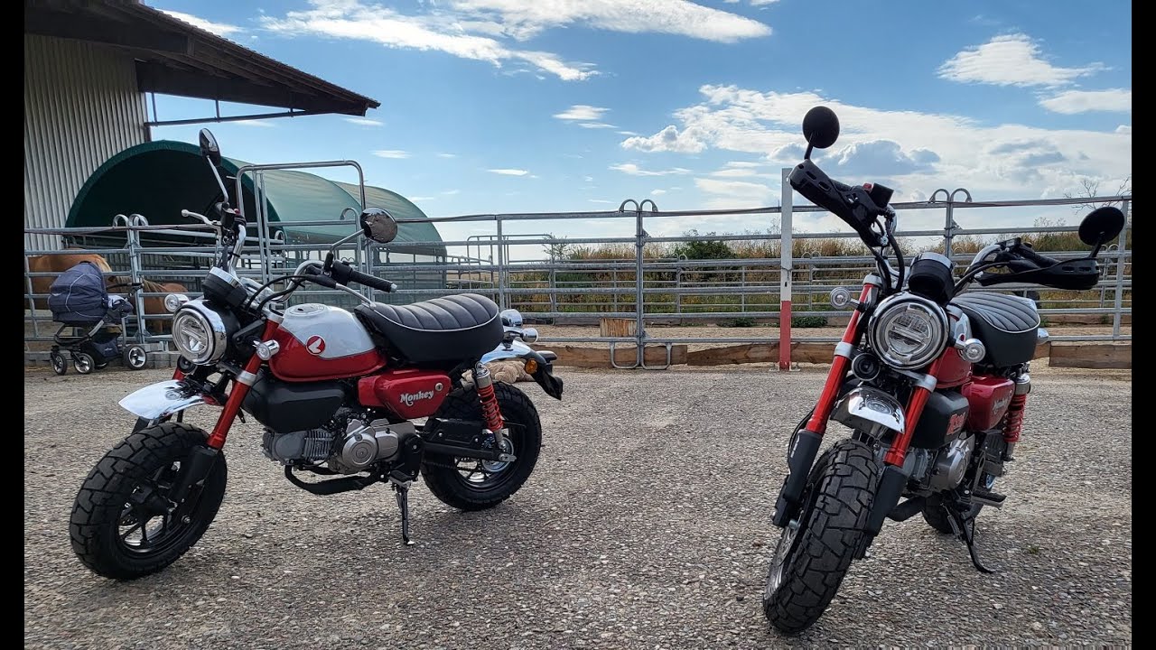 #1 Honda Monkey 125 Z125 JB03 2022 Neues Moped kleine Test fahrt mit Live Stream