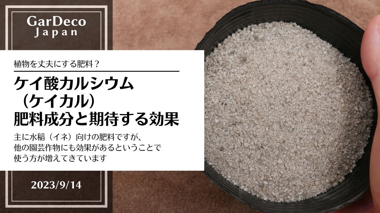 植物を丈夫にする肥料？ケイ酸カルシウム（ケイカル）