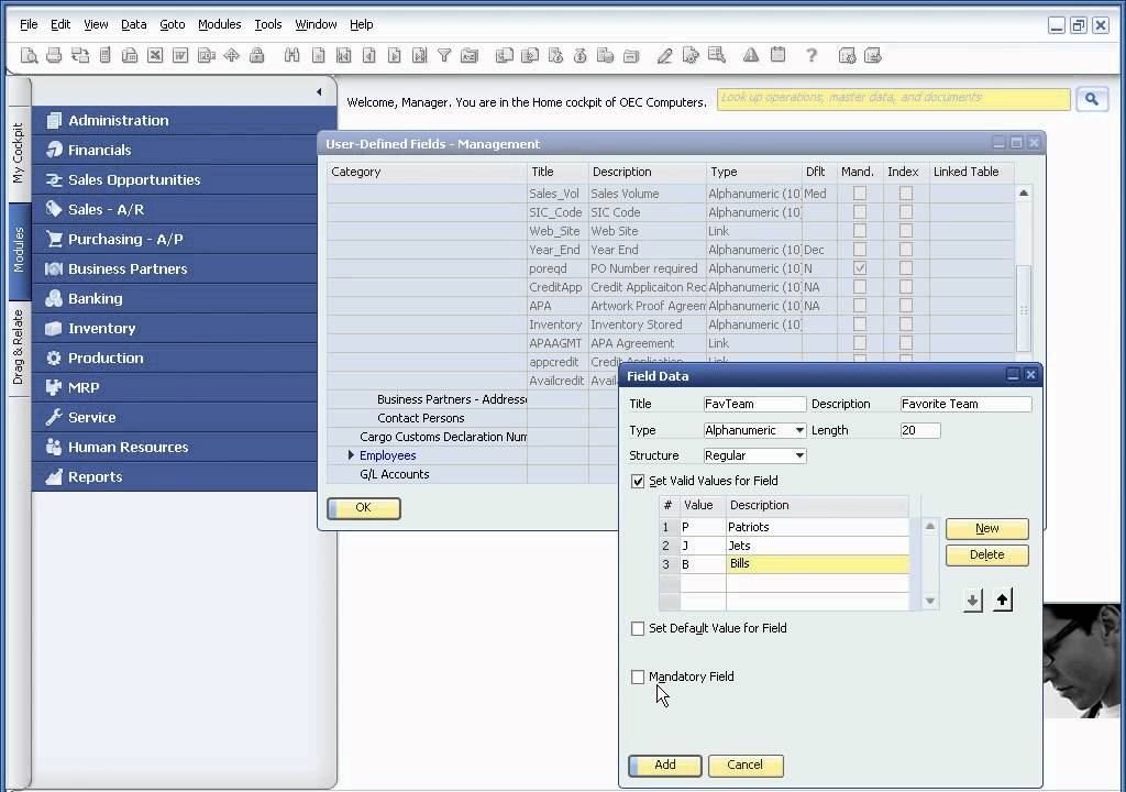 SAP Business One -  User-defined fields