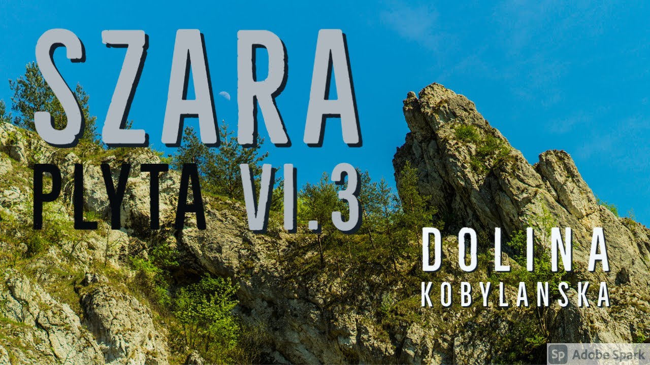 Dolina Kobylańska, Szara Płyta VI.3