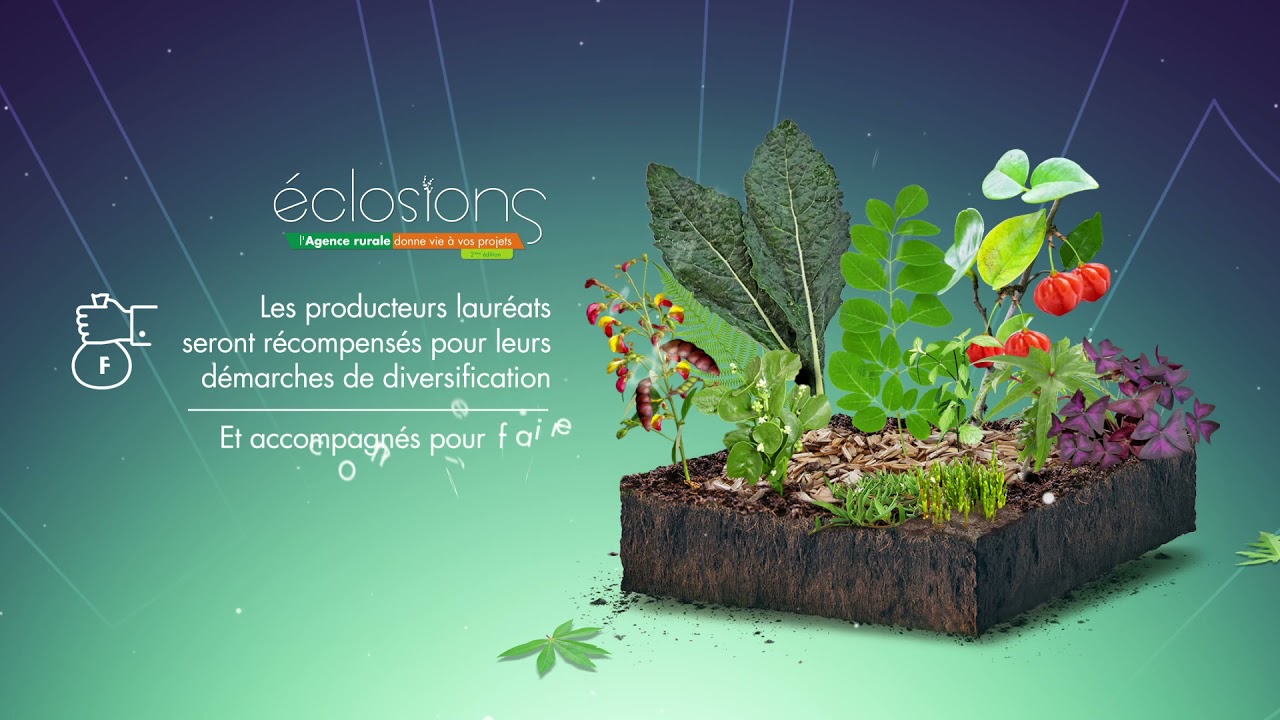 Appel &agrave; projets - 2&egrave;me &eacute;dition