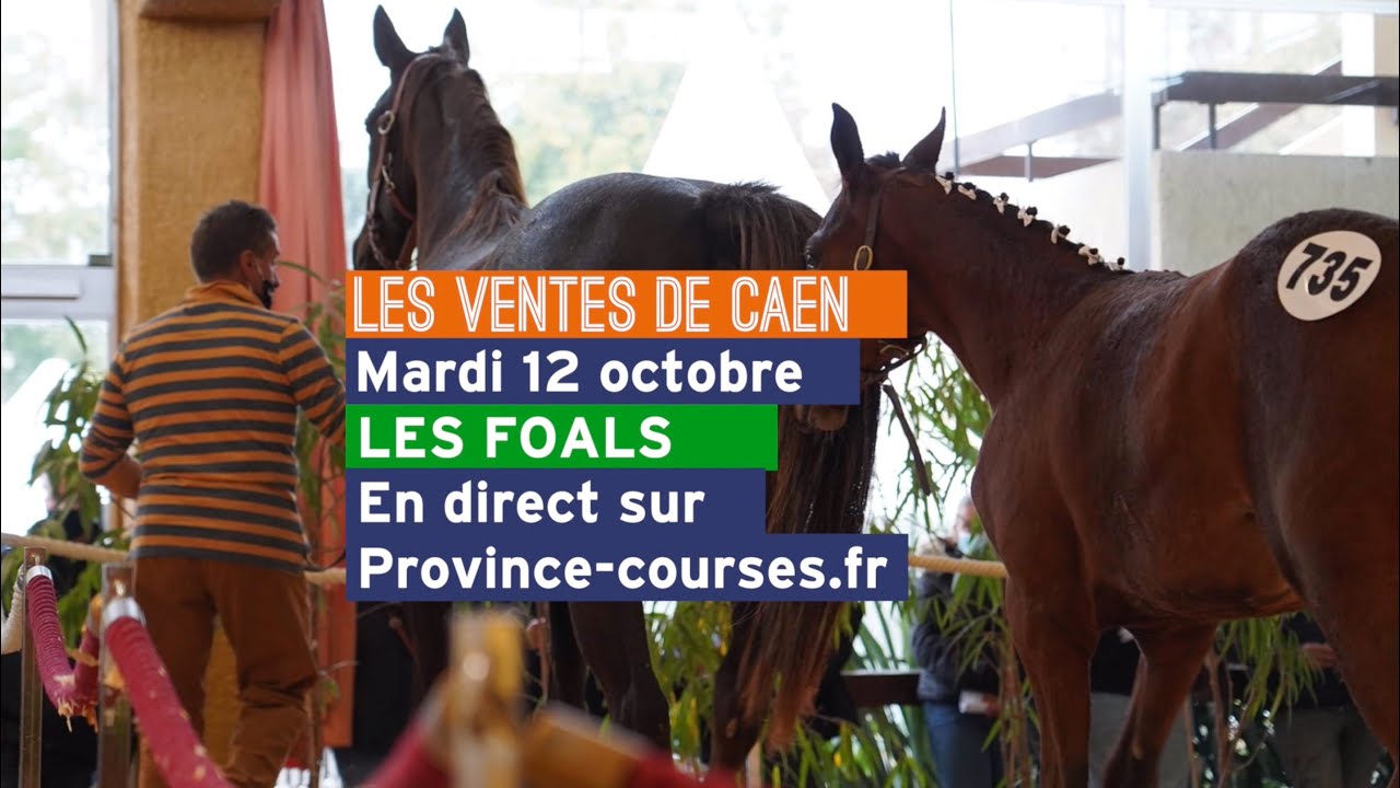 Les ventes de Caen 2021 - J#8