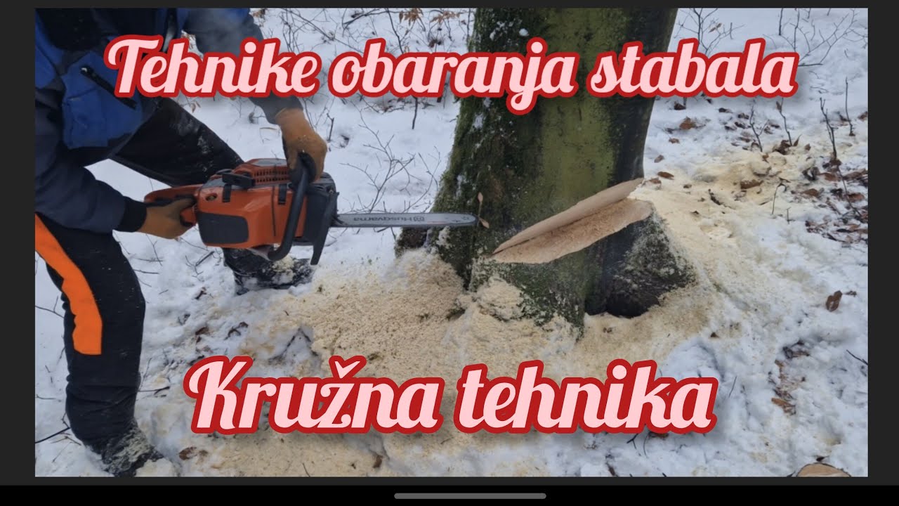 Tehnike obaranja stabala 3 deo. Kružna tehnika!