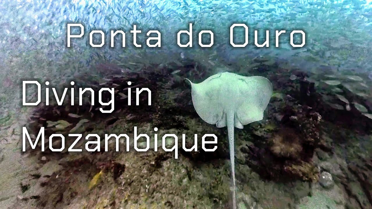 Mozambique diving - Ponta do Ouro