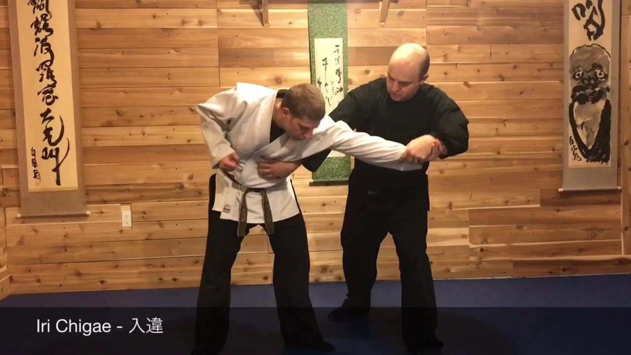 Asayama Ichiden Ryu Taijutsu.