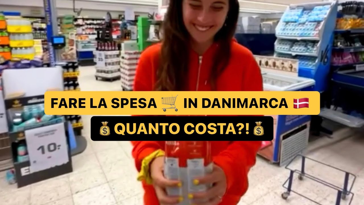 Quanto costa💰fare la spesa🛒per il camper in Danimarca?🚌🇩🇰