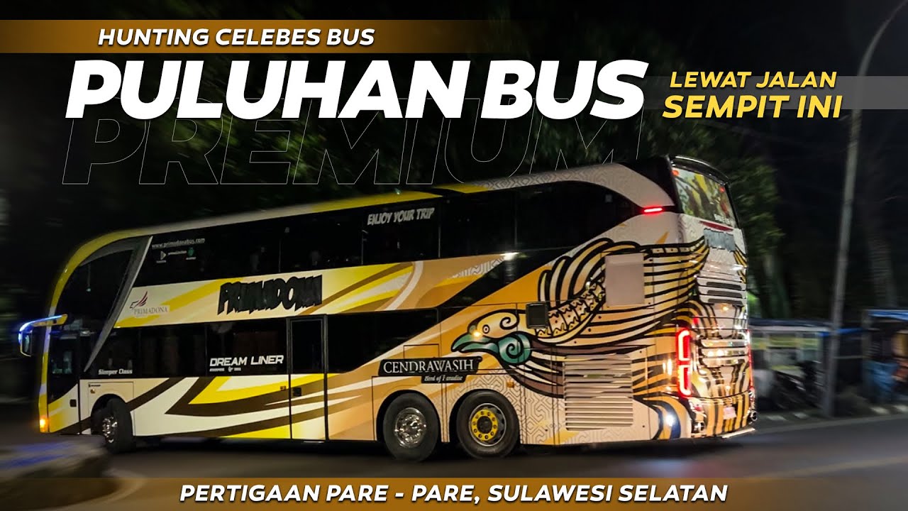 ABSENIN BUS PREMIUM DI SULAWESI ‼️ Video ini tadinya gak mau di upload karena terlalu random hahahha