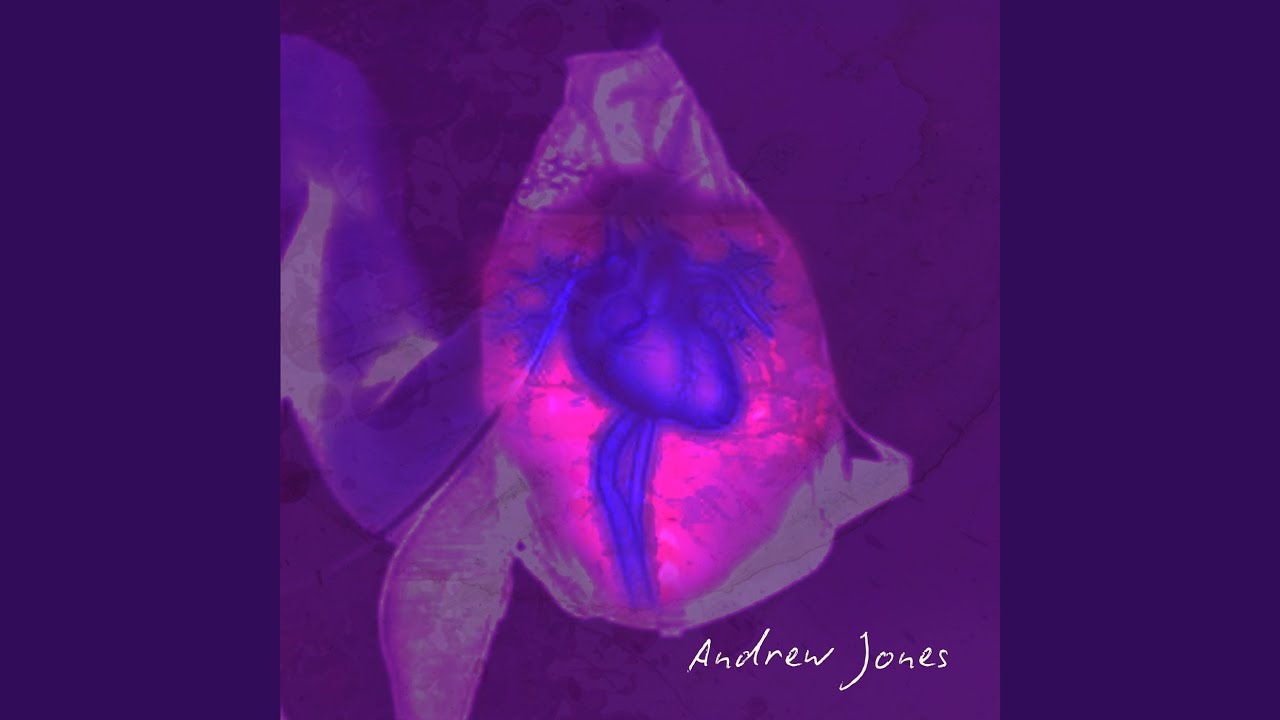 ANDREW JONES