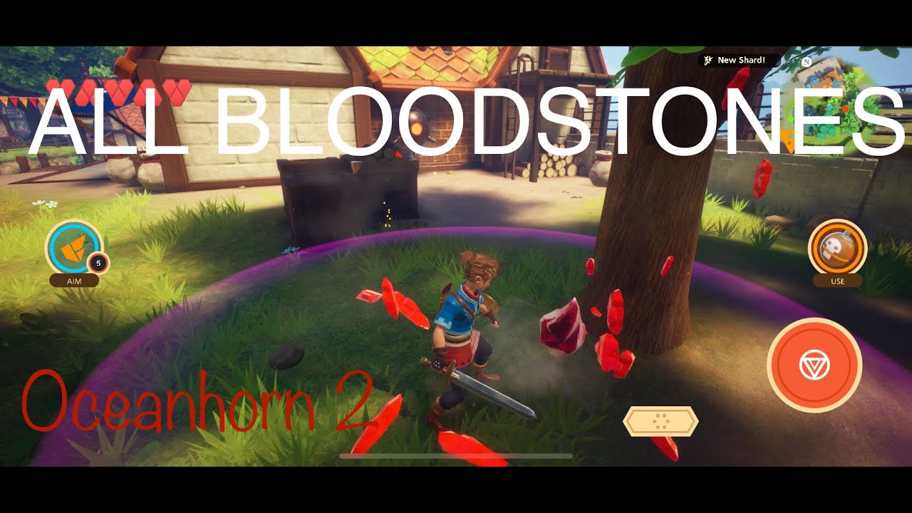All Bloodstone Locations Oceanhorn 2 part 1 of 4: Arne Village towards Sernoa