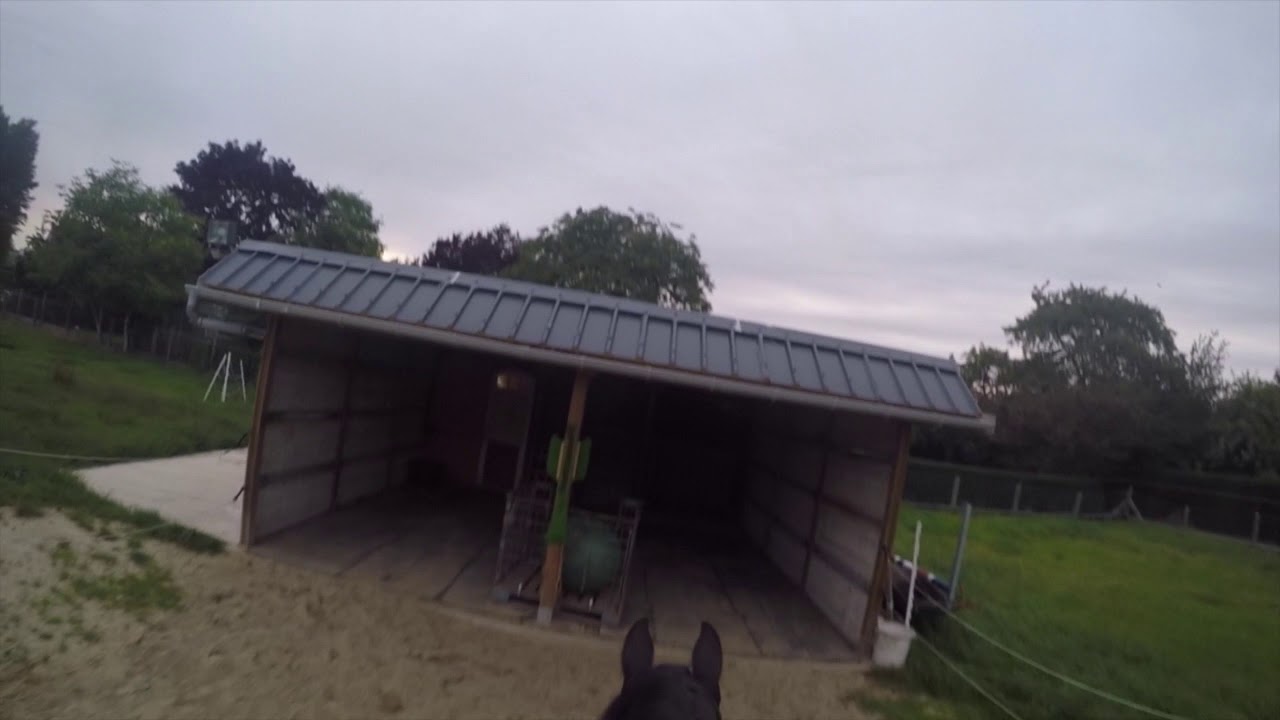 gopro dinges en paarden