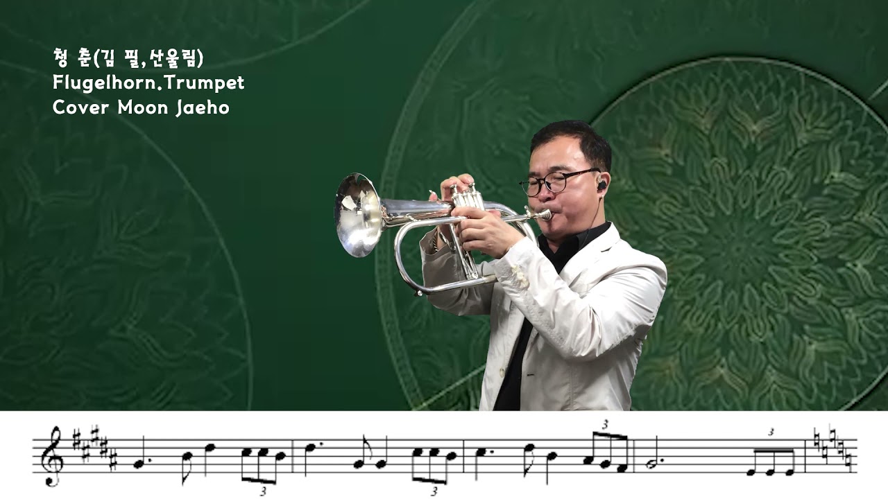 청 춘(김필,산울림)Flugelhorn.Trumpet Cover Moon Jaeho