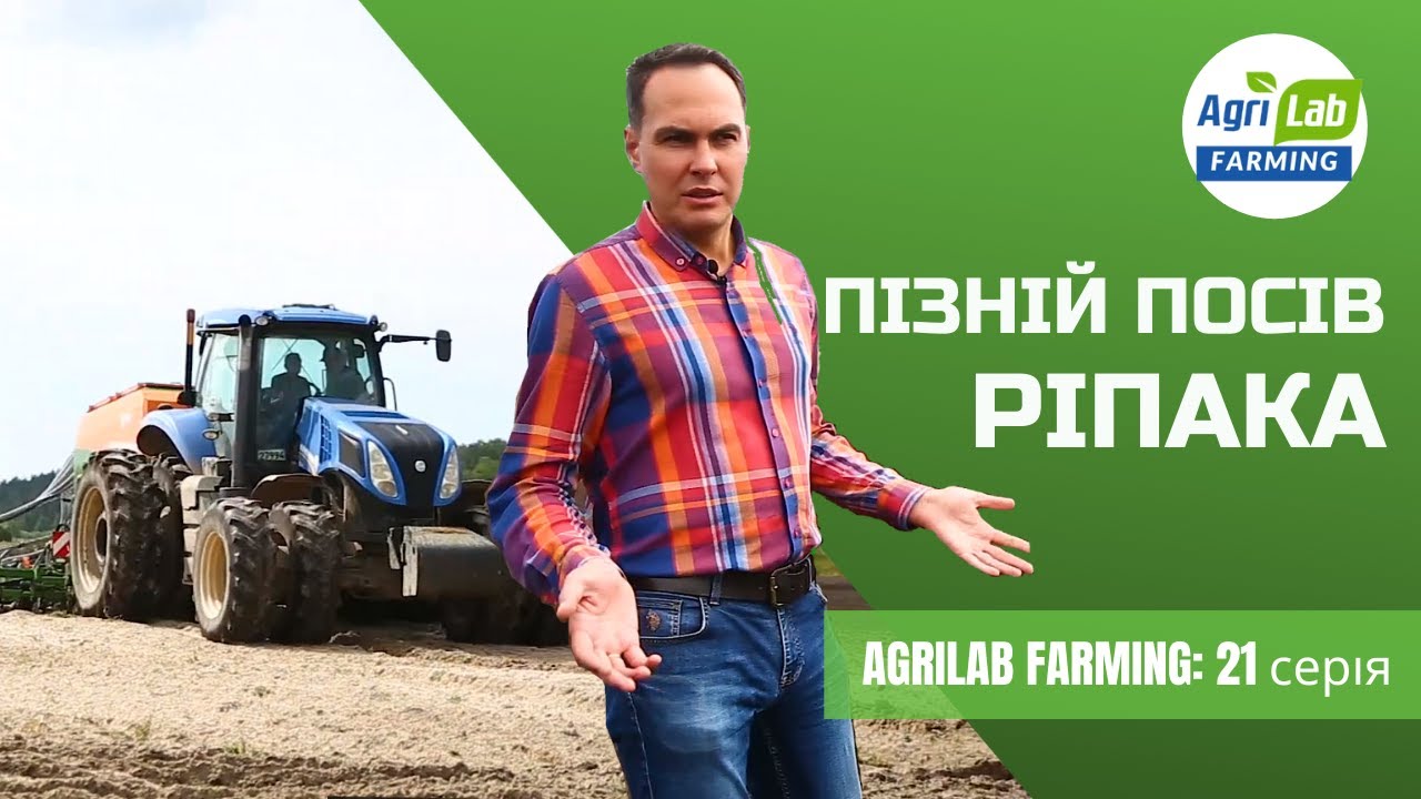 РІПАК НА РІЗНИХ ТИПАХ ГРУНТУ. ПІЗНІЙ ПОСІВ. УДОБРЕННЯ І ЗАХИСТ.