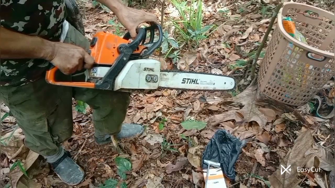 Stihl ms250 mesin kecil yang kuat untuk potong kayu belah kayu#belahkayu #chainsawman #potongkayu