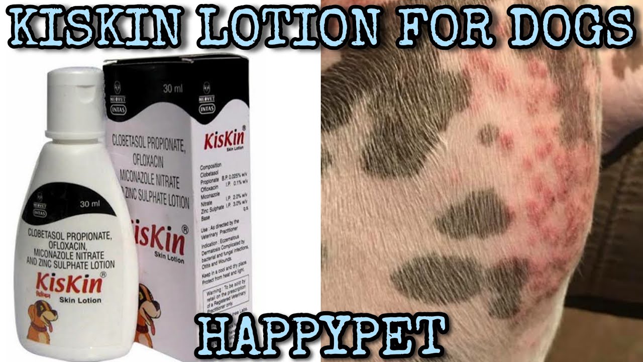 Kiskin Skin Lotion For Dogs || Skin Problem Solution for Dogs - Happypet