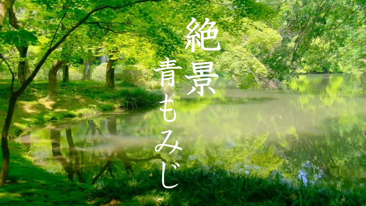京都の新緑・青もみじ100選 : The 100 Best Fresh Green Spots In Kyoto (Japan)