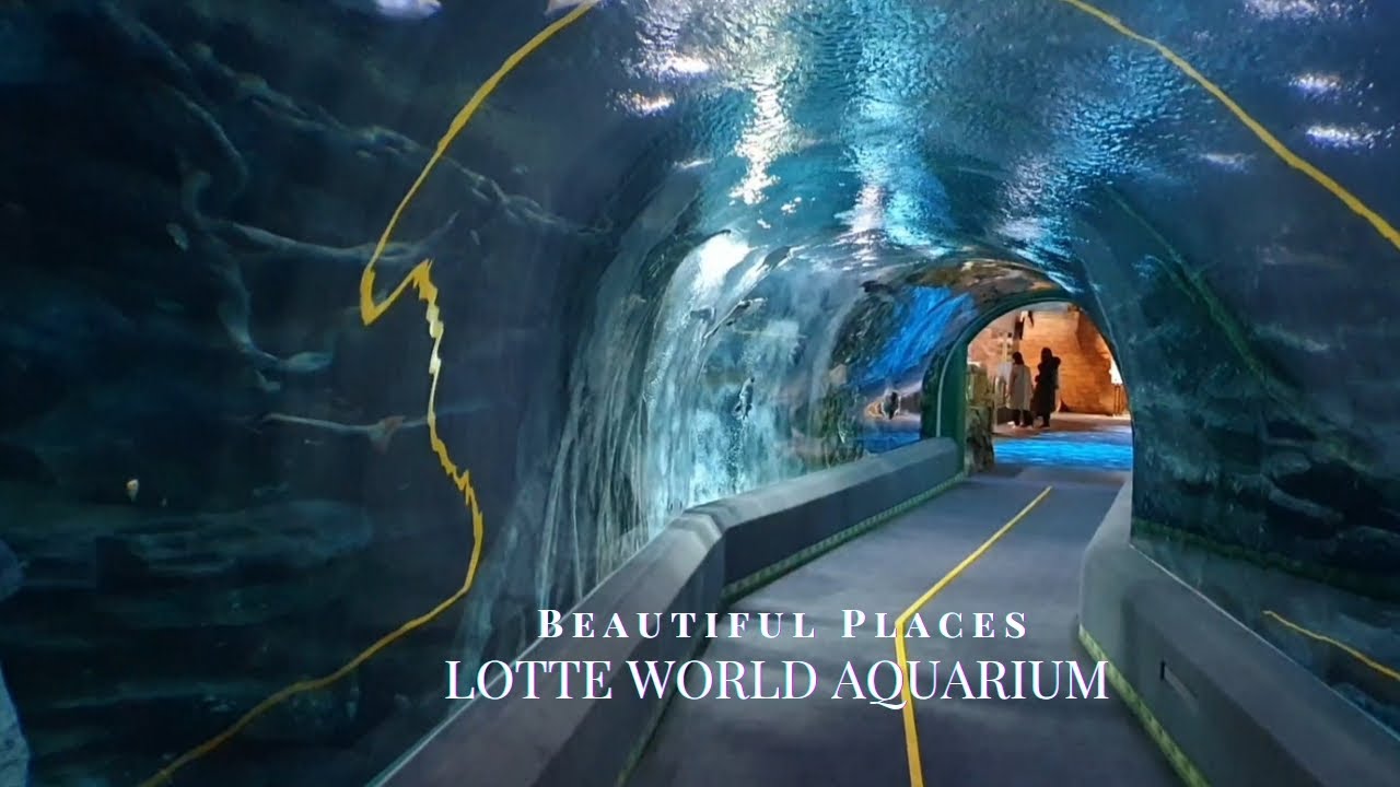 Lotte World Aquarium ||Beautiful Places in Korea || Beautiful fishes || Fantasy World of Nature