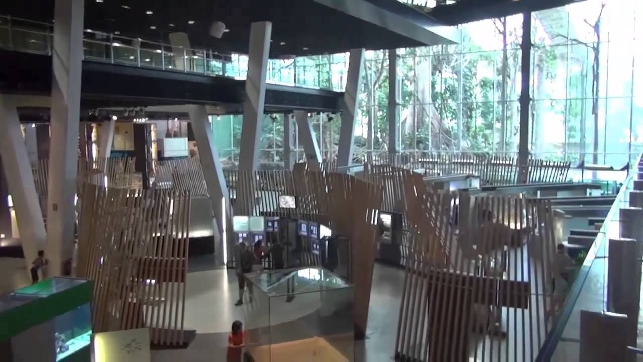 Научный музей в Барселоне Museu de la Ciencia CosmoCaixa